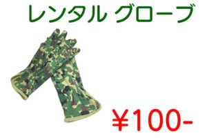 レンタルグローブ